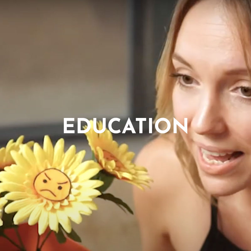 Videos for the education industry